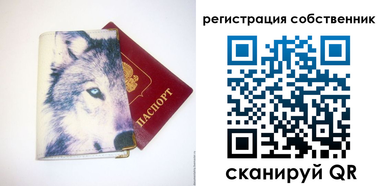 временная регистрация гарантия в Камышине