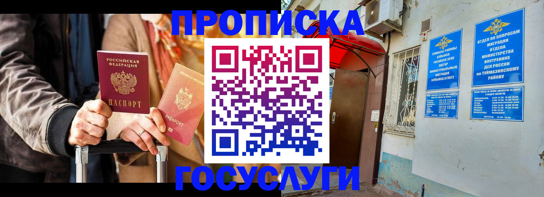 прописка гарантия в Камышине
